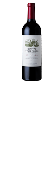 CHATEAU FONPLEGADE 2020 1.5L Magnum